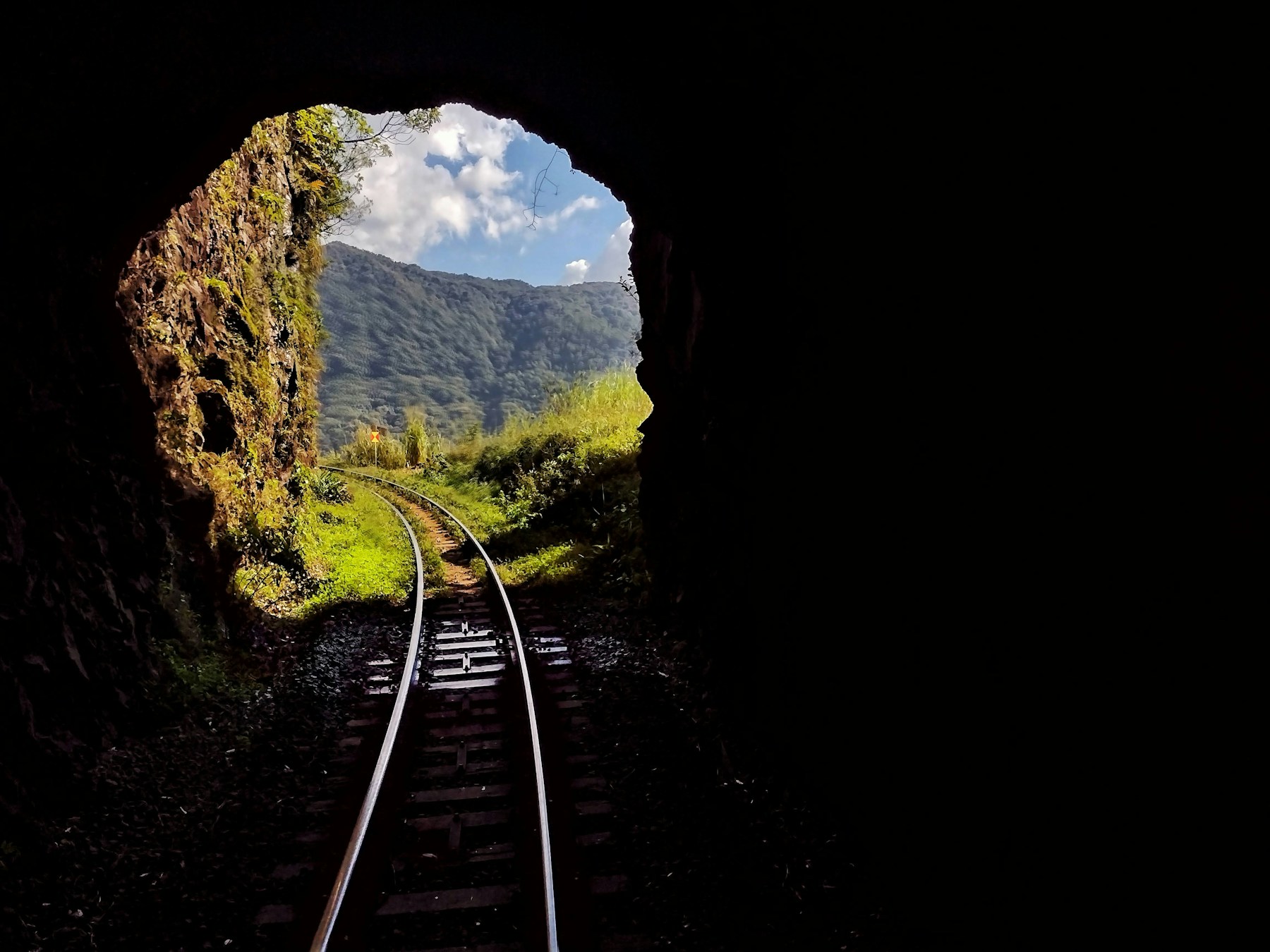 Blick aus einem Eisenbahntunnel auf Gleise und eine bewaldete Berglandschaft